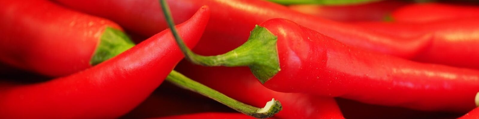 chilipeper