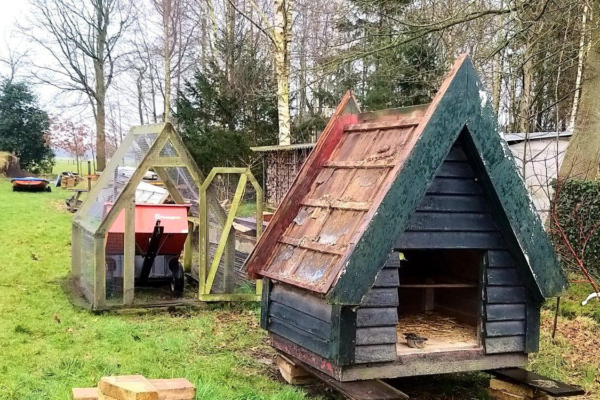 Keetje het kippenhok